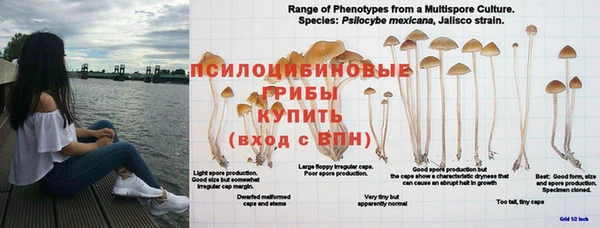 MESCALINE Верхнеуральск