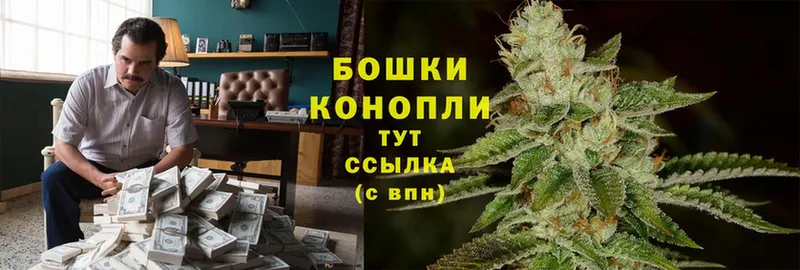 Канабис Amnesia  маркетплейс официальный сайт  Гурьевск 